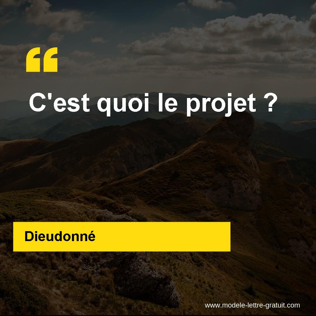 Dieudonne A Dit C Est Quoi Le Projet