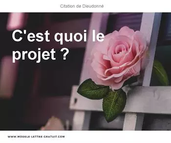 Citations Dieudonné