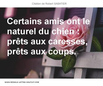 Citations Robert SABATIER