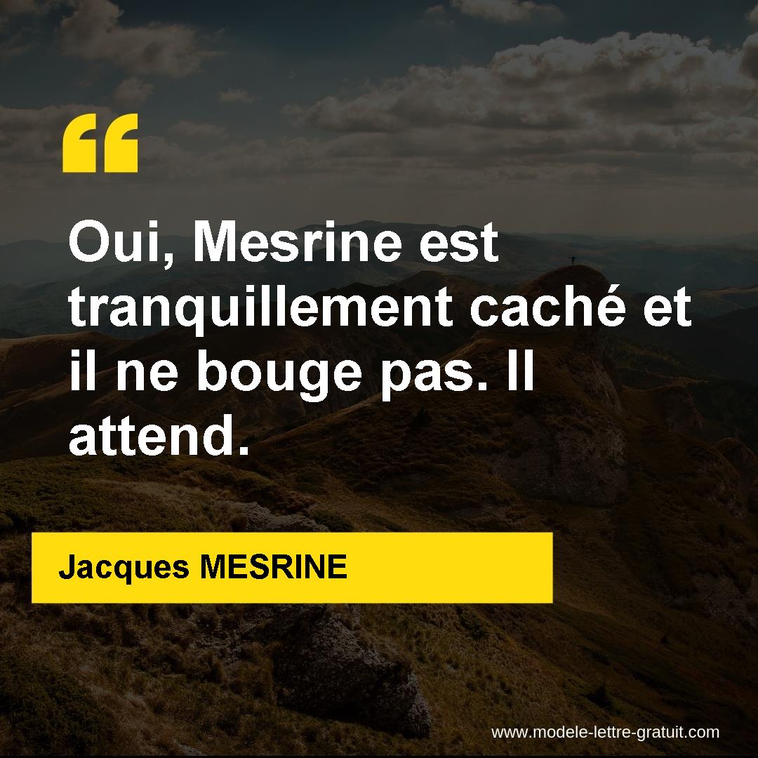 Oui Mesrine Est Tranquillement Cache Et Il Ne Bouge Pas Il Jacques Mesrine