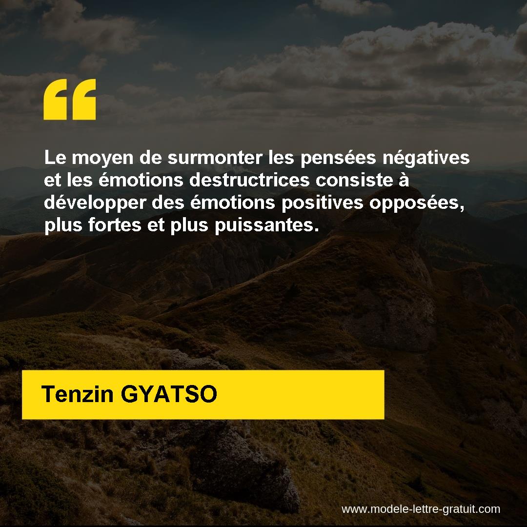 Le Moyen De Surmonter Les Pensees Negatives Et Les Emotions Tenzin Gyatso