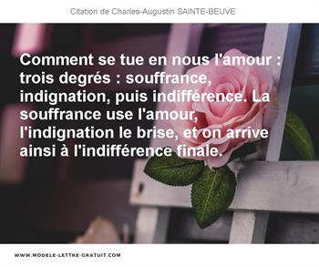 Comment Se Tue En Nous L Amour Trois Degres Souffrance Charles Augustin Sainte Beuve