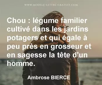 Citation de Ambrose BIERCE