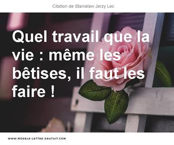 Citations Stanislaw Jerzy Lec
