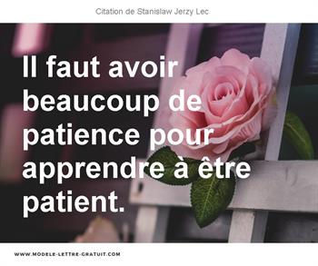 Il Faut Avoir Beaucoup De Patience Pour Apprendre A Etre Patient