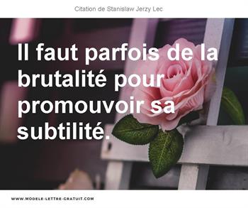 Citations Stanislaw Jerzy Lec