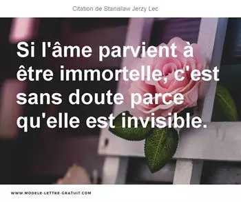 Citations Stanislaw Jerzy Lec
