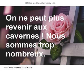 Citations Stanislaw Jerzy Lec