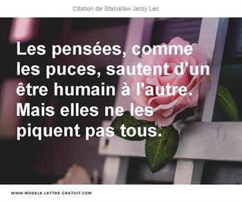 Citations Stanislaw Jerzy Lec