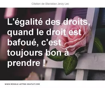 Citations Stanislaw Jerzy Lec
