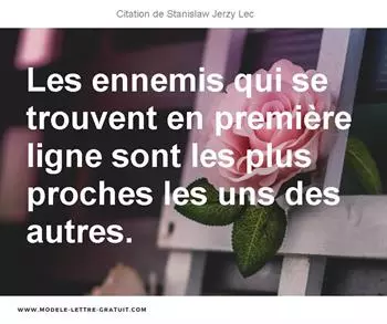Citations Stanislaw Jerzy Lec