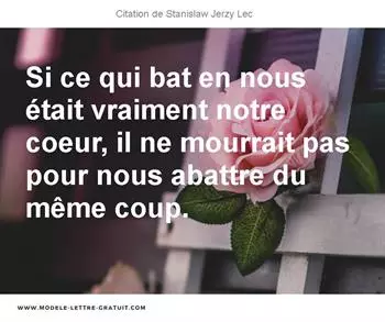 Citations Stanislaw Jerzy Lec