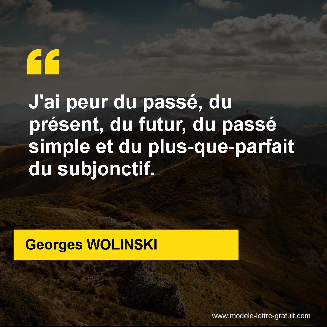 J Ai Peur Du Passe Du Present Du Futur Du Passe Simple Et Du Georges Wolinski