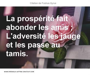 Citations Publius Syrus