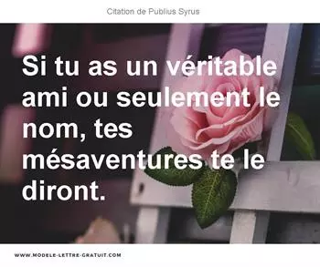 Citations Publius Syrus