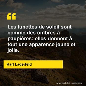 Les Lunettes De Soleil Sont Comme Des Ombres A Paupieres Elles Karl Lagerfeld