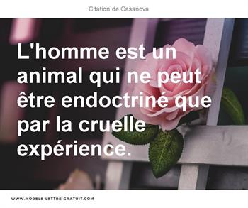 Citations Casanova