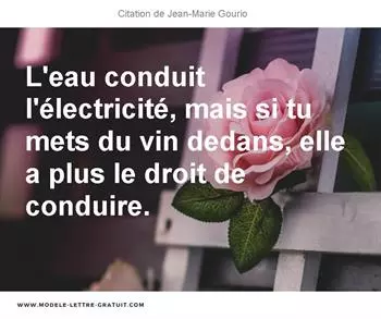 Citations Jean-Marie Gourio