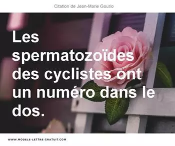 Citations Jean-Marie Gourio