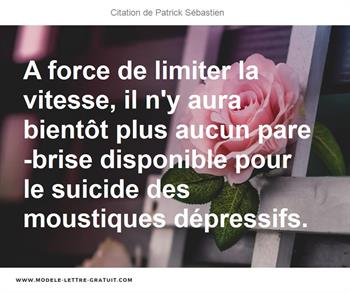 A Force De Limiter La Vitesse Il N Y Aura Bientot Plus Aucun Patrick Sebastien