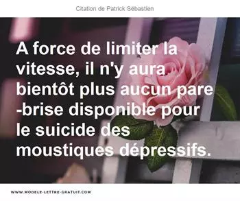Citations Patrick Sébastien