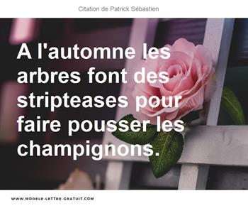 Citations Patrick Sébastien