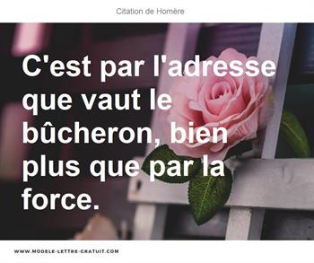 Citations Homère