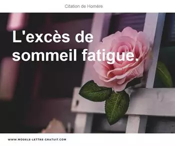 Citations Homère