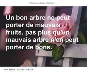 Citations Saint Matthieu