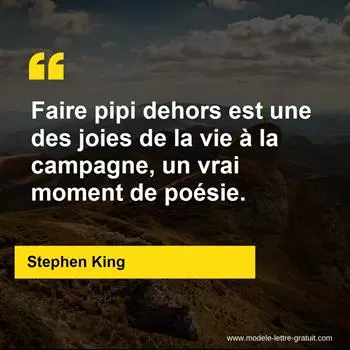 Citation Stephen King