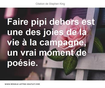 Citations Stephen King