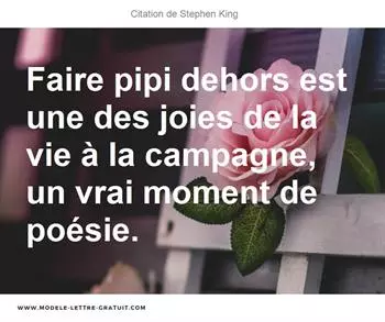 Citations Stephen King