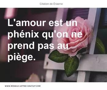Citations Érasme