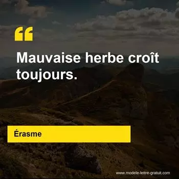 Citation Érasme