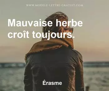 Citation de Érasme