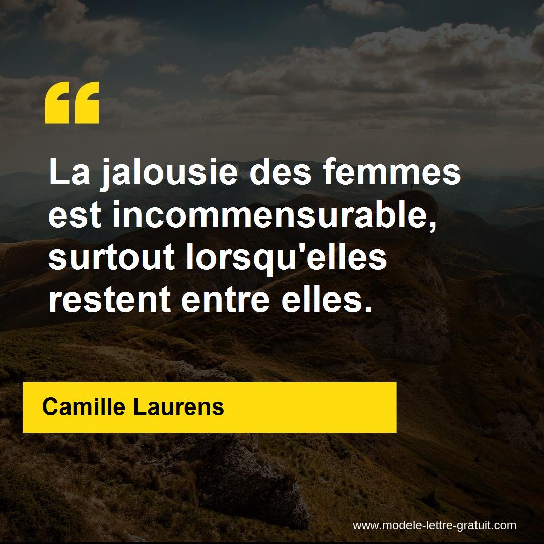 La Jalousie Des Femmes Est Incommensurable Surtout Lorsqu Elles Camille Laurens