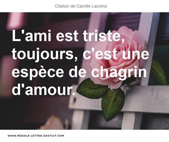 L Ami Est Triste Toujours C Est Une Espece De Chagrin D Amour