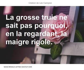 Citations Léo Campion