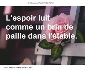 Citations Paul VERLAINE