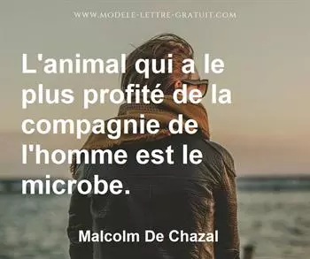 Citation de Malcolm De Chazal