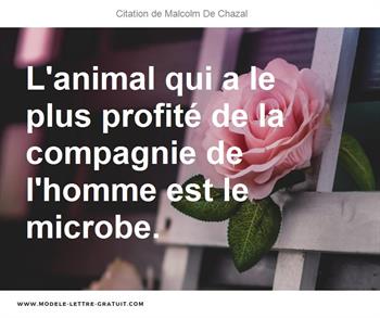 Citations Malcolm De Chazal