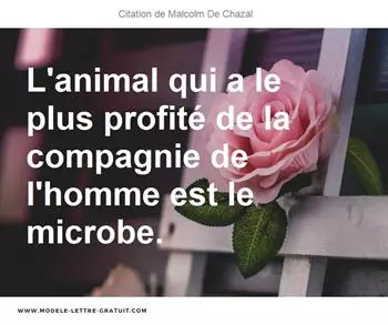 Citations Malcolm De Chazal
