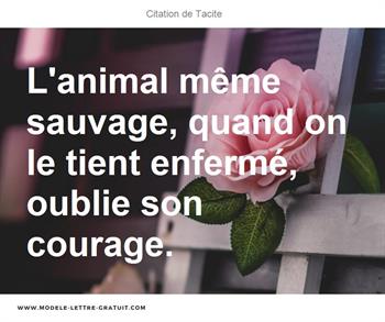 Citations Tacite