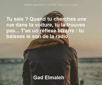 Citation de Gad Elmaleh