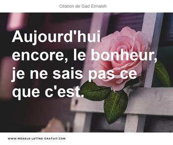 Citations Gad Elmaleh