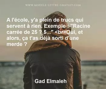 Citation de Gad Elmaleh
