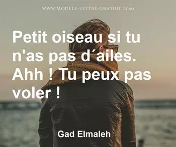 Citation de Gad Elmaleh