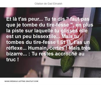 Citations Gad Elmaleh