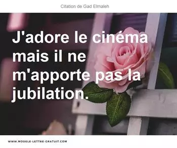 Citations Gad Elmaleh