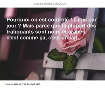 Citations Éric ZEMMOUR